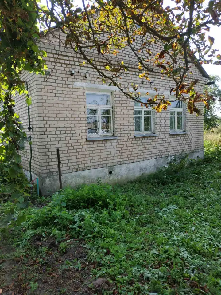 Продаю дом с участком, д.Тычинки ул. Центральная д.11, фотография 2