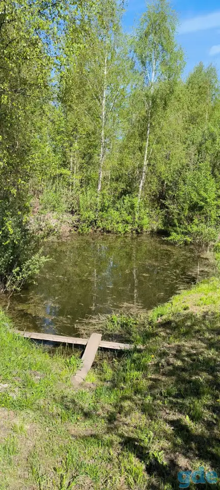 Продаётся дача Демидовичский сельсоветКостюковичский р-нп.Пролетарий, фотография 3