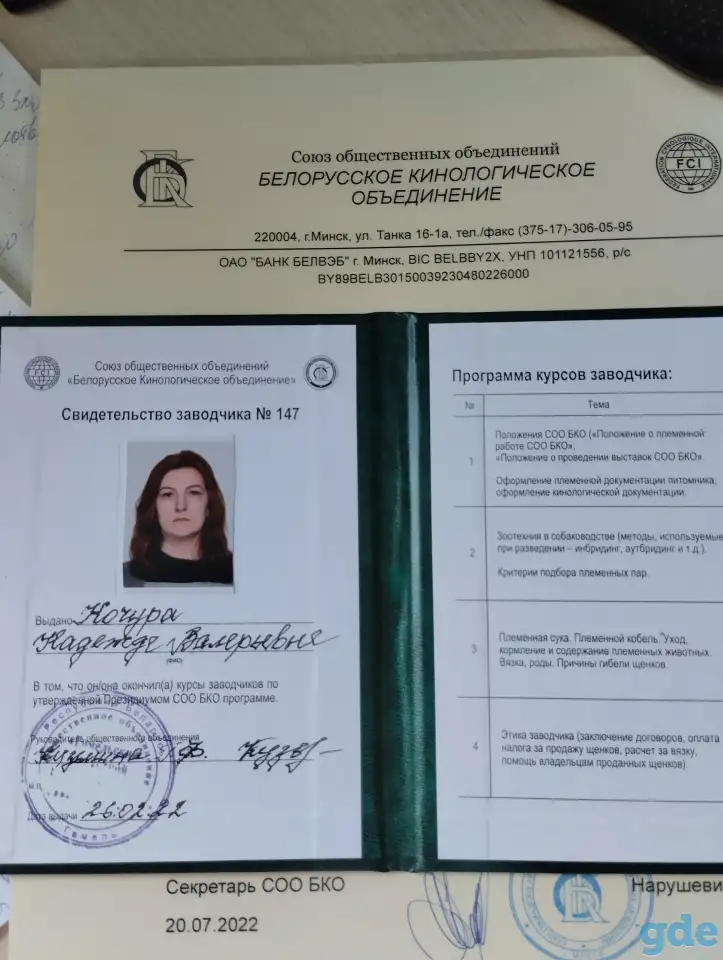 Щенки лабрадора, питомник, фотография 7