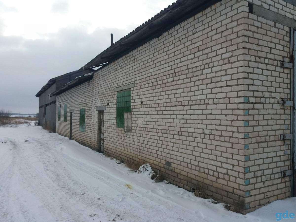 Недвижимое имущество ОАО «Бешенковичи агросервис», фотография 4