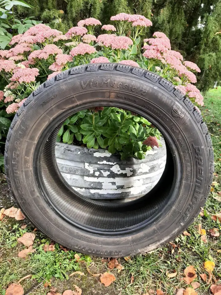 Зимние шины 20555R16 PREMIORRI VAAMAGGIORE 91T, фотография 2