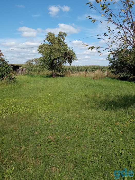 Продам, Тумановка, фотография 2