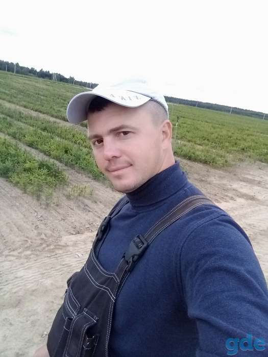 Ищу работу, фотография 1