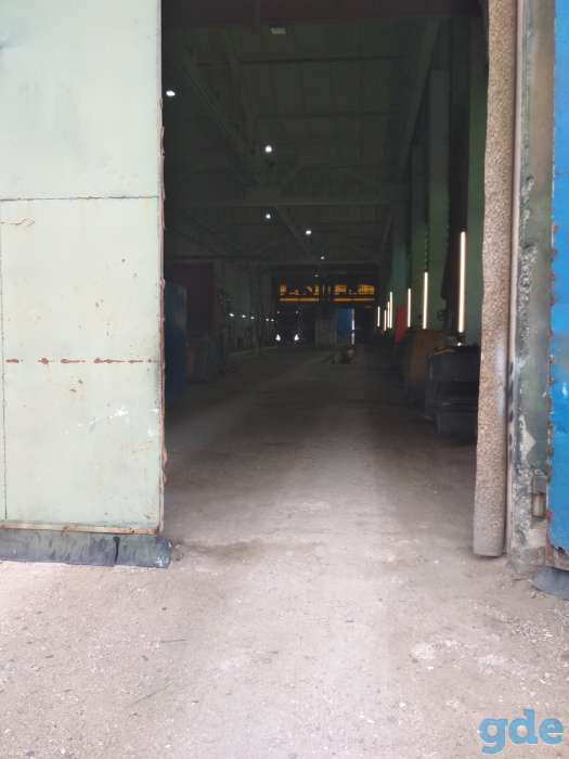 Сдам в аренду под сто, Ул.бабушкина 29, фотография 1
