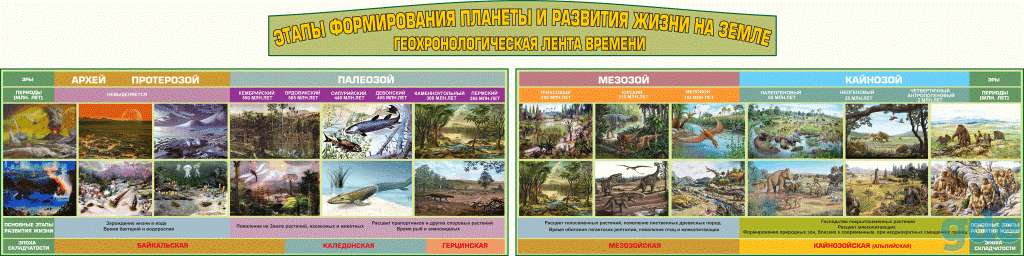 Химия. Плакаты и стенды для школы и колледжа, фотография 12