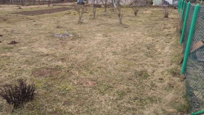 Срочно продам с/т Фантазия-Силичи, фотография 3