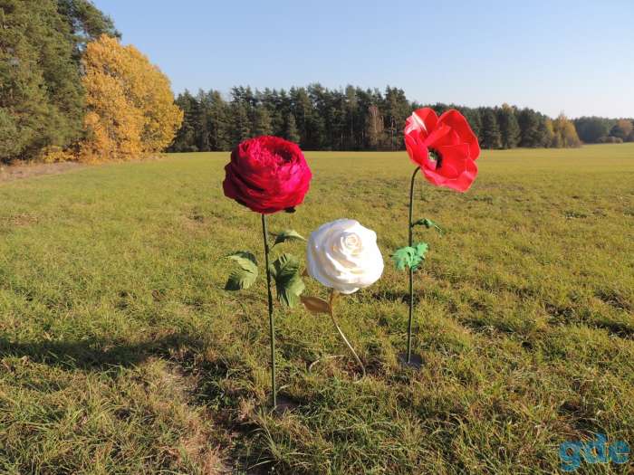 Ростовые цветы, фотография 6