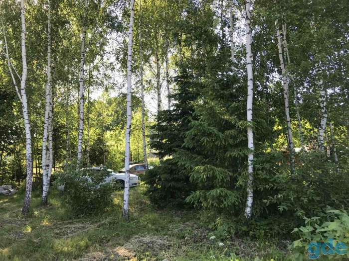 Участок дачный 10 соток, д. Мерковичи Логойского р-на, фотография 4
