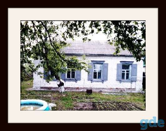 Дом. город Гомель, фотография 2