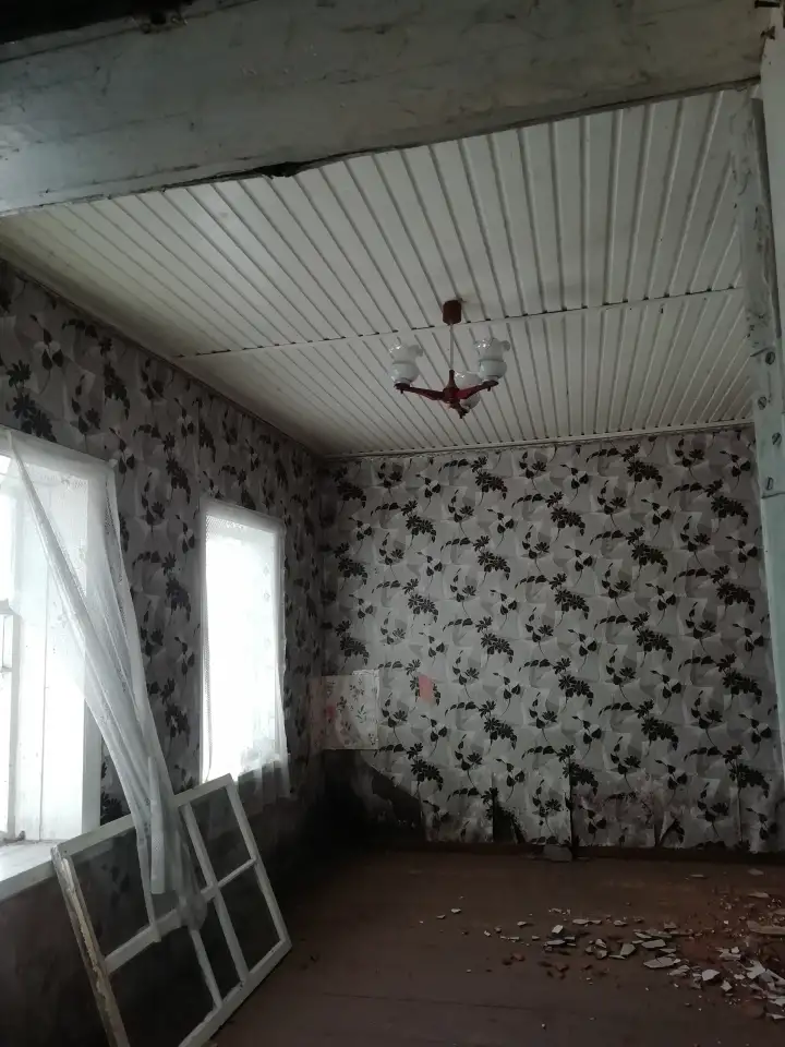 Продам участок с домом, Г.. Жлобин, ул. Пушкинская 28, фотография 6