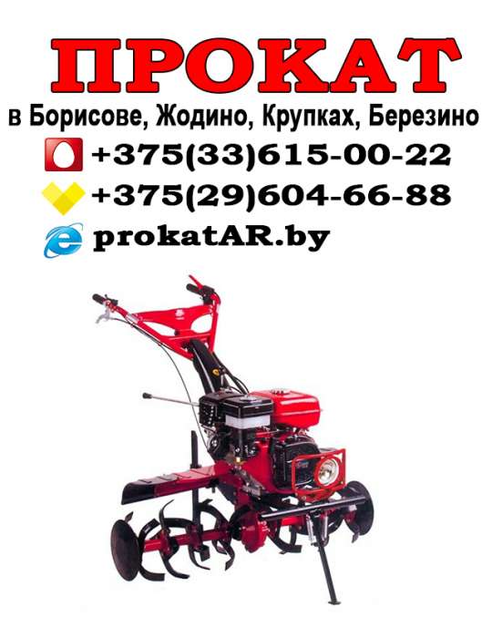 Аренда и Прокат культиватора в Борисове, Жодино, Крупках, Березино, Смолевичах, фотография 1