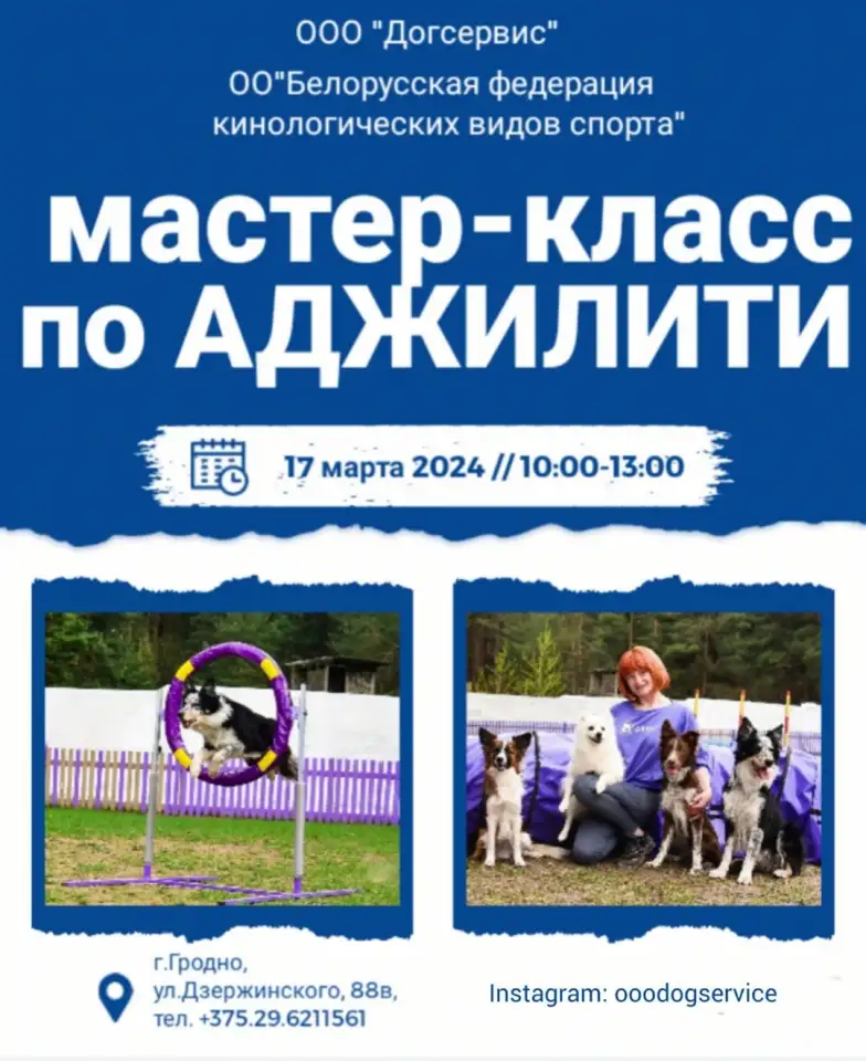 Мастер - класс по аджилити., фотография 1
