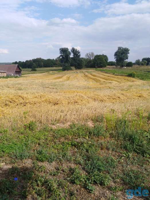 продам дом, фотография 5