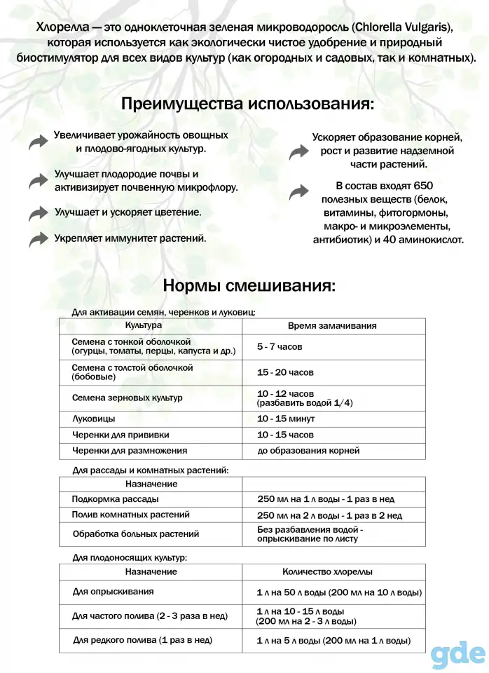 Суспензия хлореллы, фотография 2