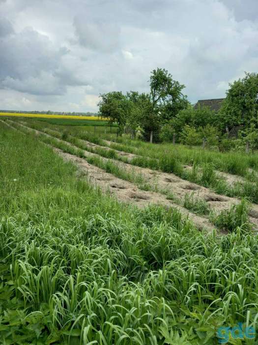 Продам дом под дачу,бизнес. Участок 25 сот.,, фотография 3