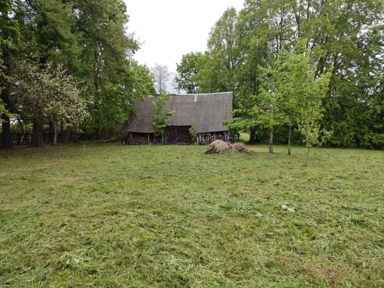 Продам Дом на хуторе, Гродненская обл., р-н, д. Попельники д. 3., фотография 7