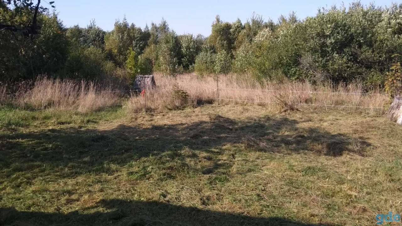 Продам участок 25 соток в д. Юржишки, Раковский с/с, фотография 3