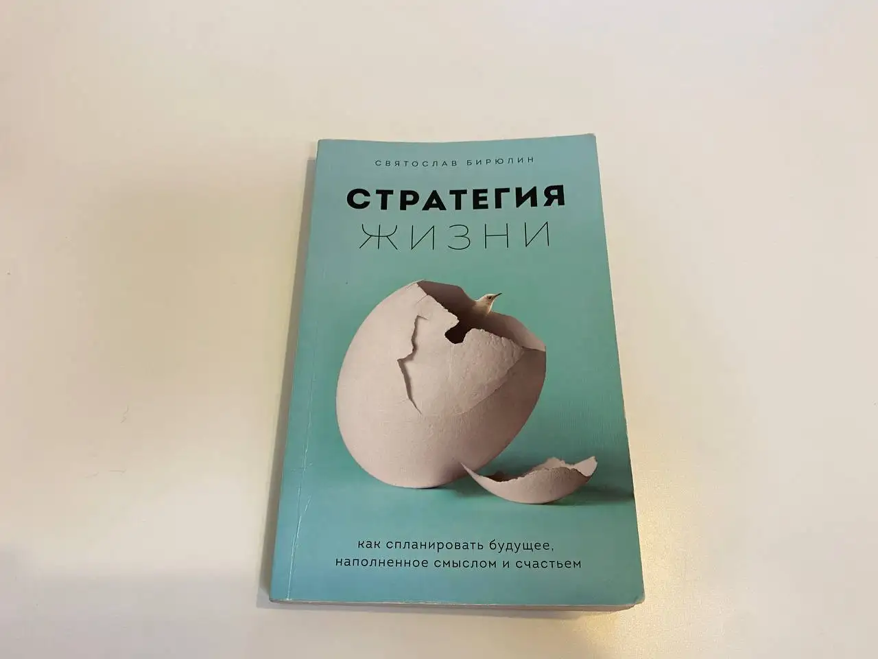 Книга стратегия жизни Святослав Бирюлин, фотография 1