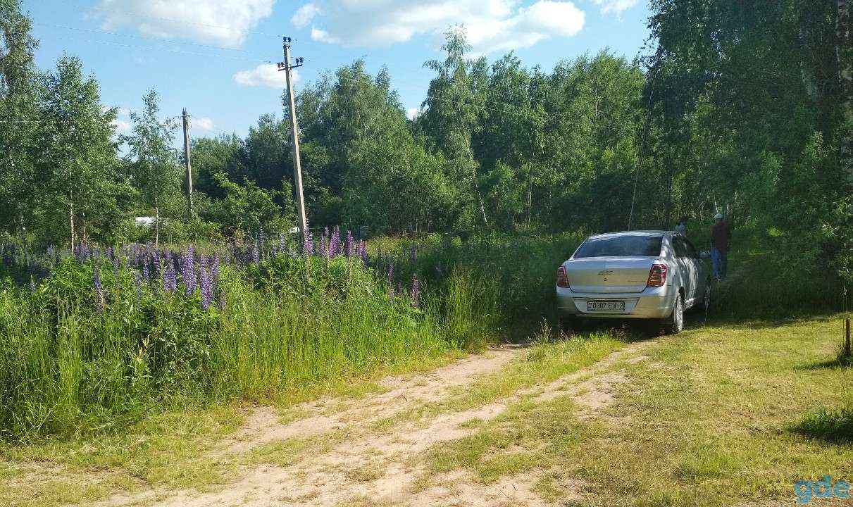 Земельный ровный участок, р-он, Новкинский с.с., д. Старинки, с.т. Надзея, фотография 4
