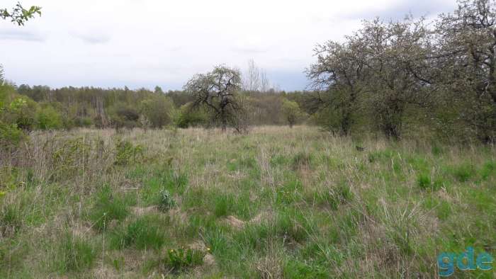 Продается дом д. Куренец Вилейского района, фотография 4
