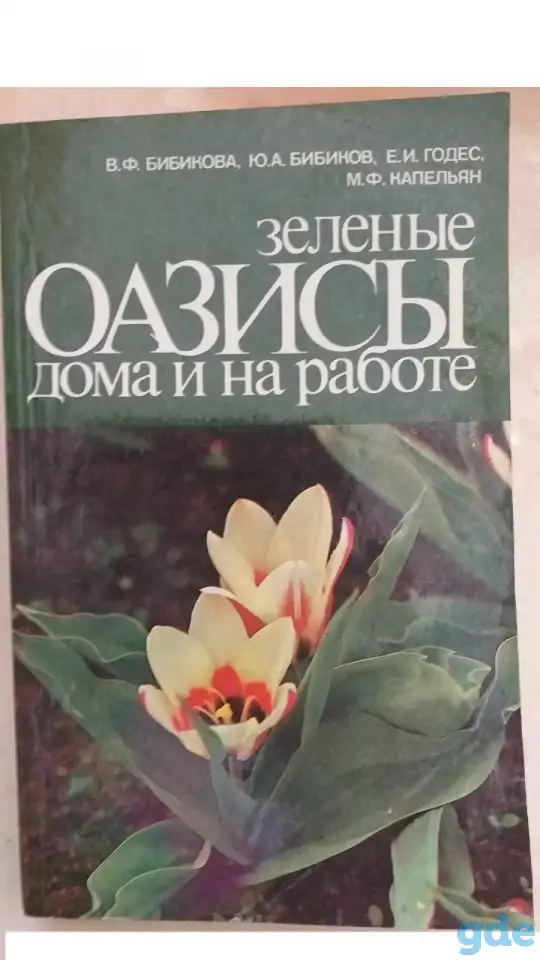 Зеленые оазисы дома и на работе-для цветоводов-любителей!, фотография 1