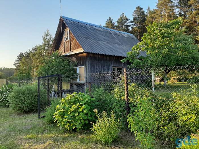 Продам дачу, Минская обл. Смолевичский р-н д. Кальники СТ 