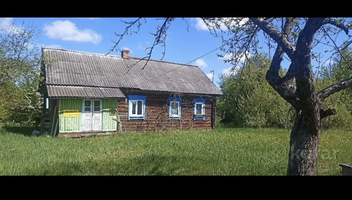 д.Новосёлки маленькиеПетриков д. 2а, фотография 4