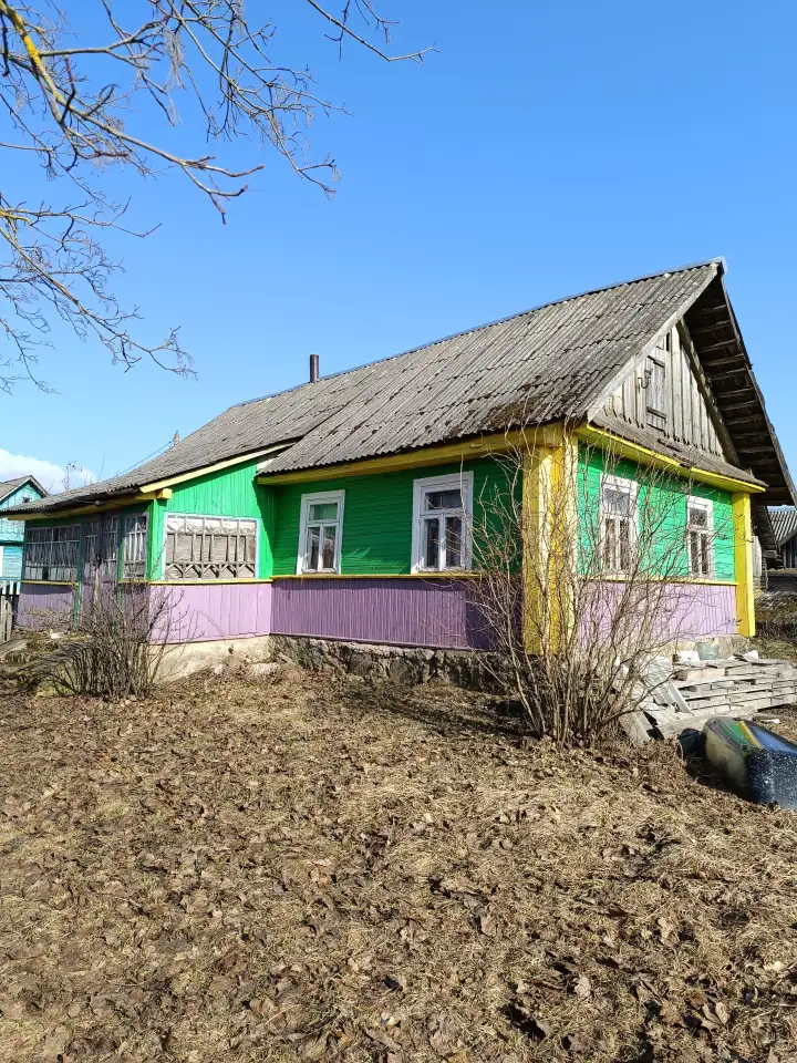 Продам дом в деревне, д. Ойтиново, фотография 1