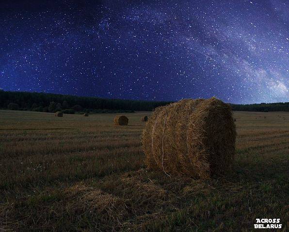 Инвестиции, фотография 1
