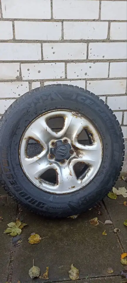 Зимние шипованные шины BRIDGESTONE 22570R16, фотография 11