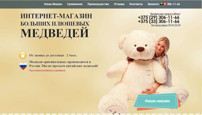 ЭФФЕКТИВНЫЙ ЛЕНДИНГ, ПРОДАЮЩИЙ САЙТ, РЕКЛАМА И ПРОДВИЖЕНИЕ В ИНТЕРНЕТЕ, фотография 1