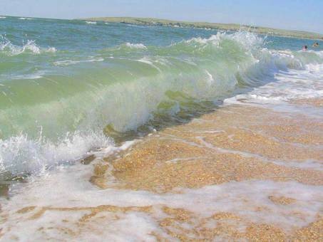 летний отдых на Азовском море, фотография 1