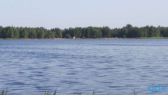 Продам участок, ст. Остров, фотография 6