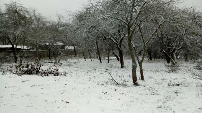 Участок 25 соток, фотография 1