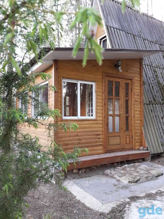 Домик для отдыха в сосновом лесу ,Беларусь, Минская область, Пуховичский район, Шацкий сельский совет, деревня Ста, фотография 10
