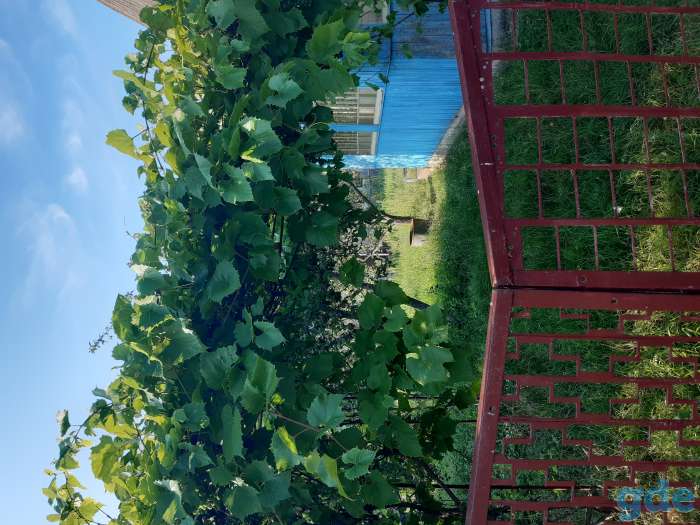 Продам дачу, д. СТАХОВИЧИ д./к. МЕЛИОРАТОР, фотография 1