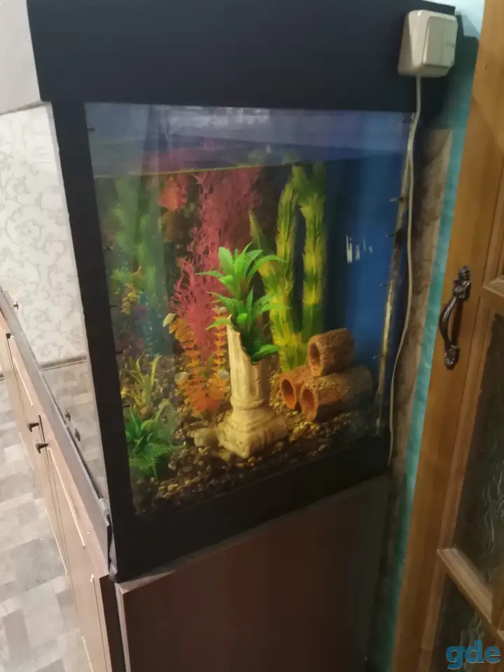 Продам СРОЧНО аквариум, фотография 4