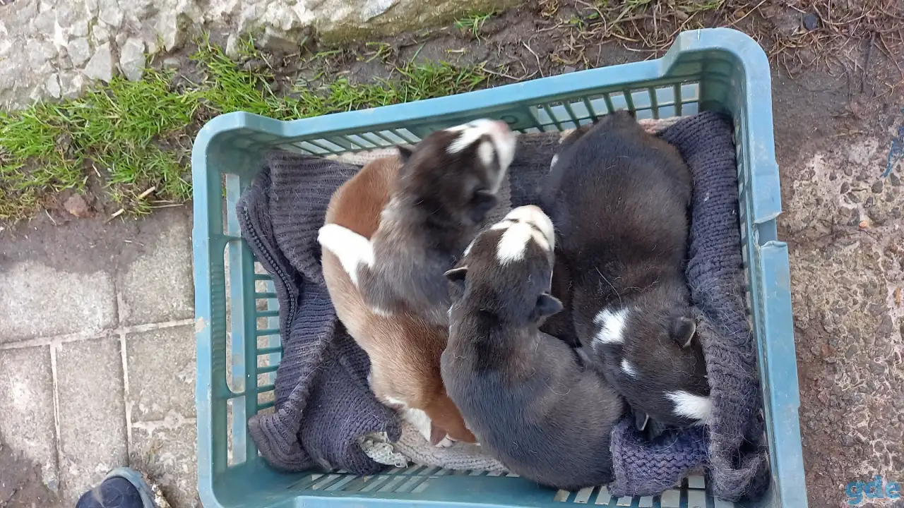 Продажа, фотография 3