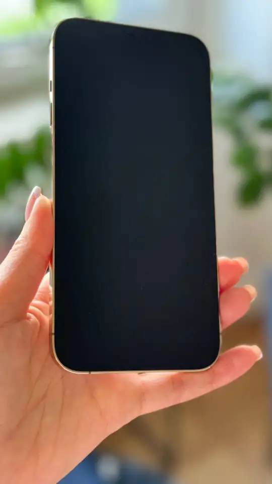 iPhone 12 Pro Max 256gb Gold золотой, фотография 12