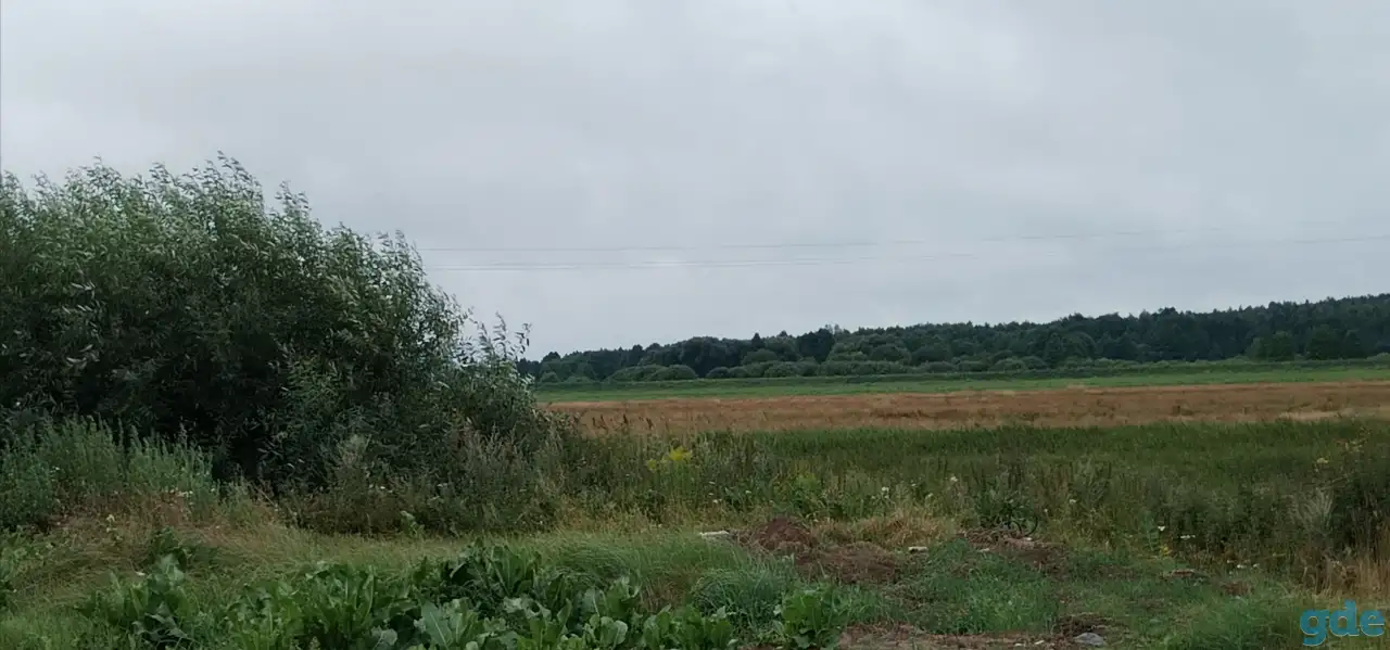 Продам участок, Пуховичский ройон, аг  Горелец, фотография 4