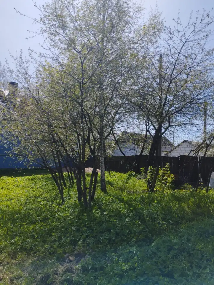 Продаю домучасток, Город Шклов, ул. Родниковая, фотография 2