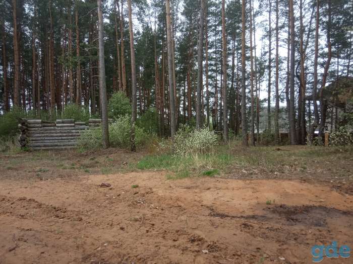 Продам земельный участок, Бешенковический район д.Хмельник, фотография 6