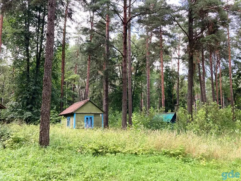 Детский лагерь в 20 км. от Гродно, 1,4 га, гродно, фотография 5