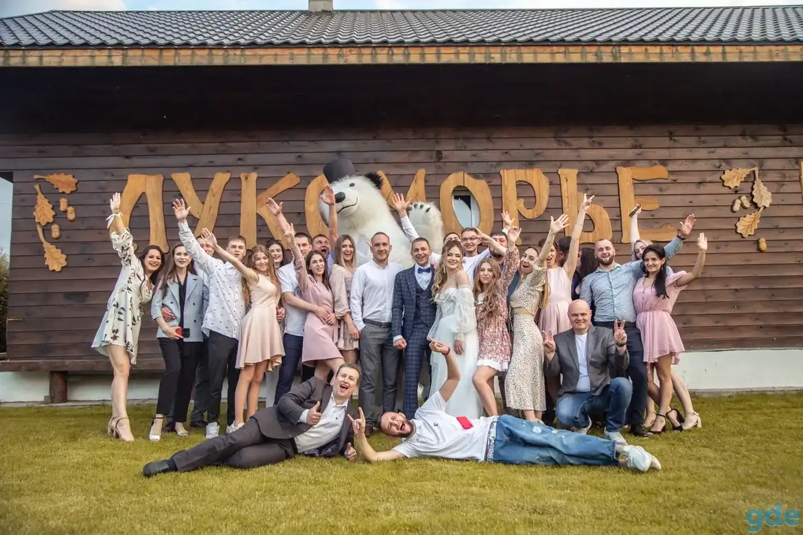 Ведущий на свадьбу, юбилей, фотография 7