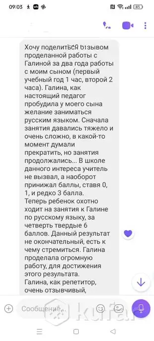 Репетитор по русскому языку и литературе, фотография 2