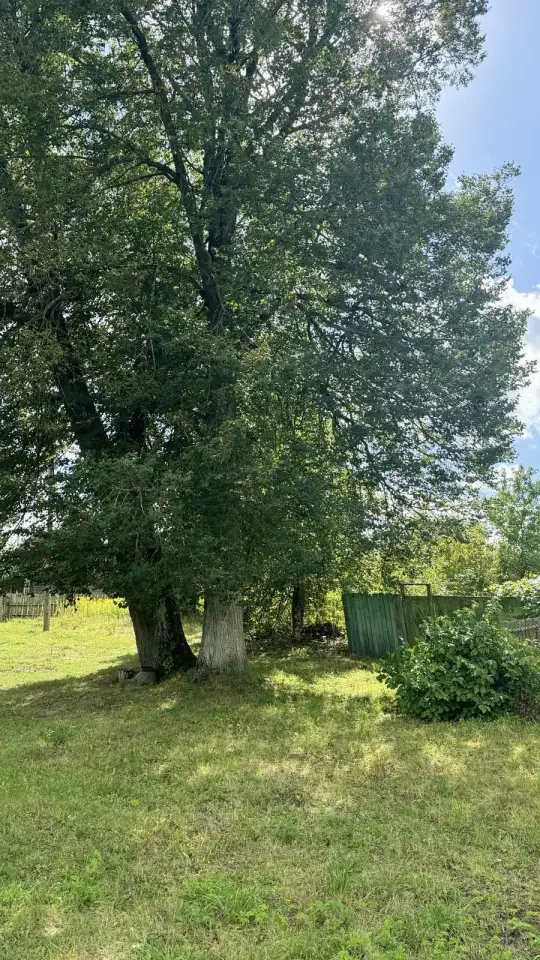 продам дом рядом с Борисовом, д.Новое Янчино, фотография 9