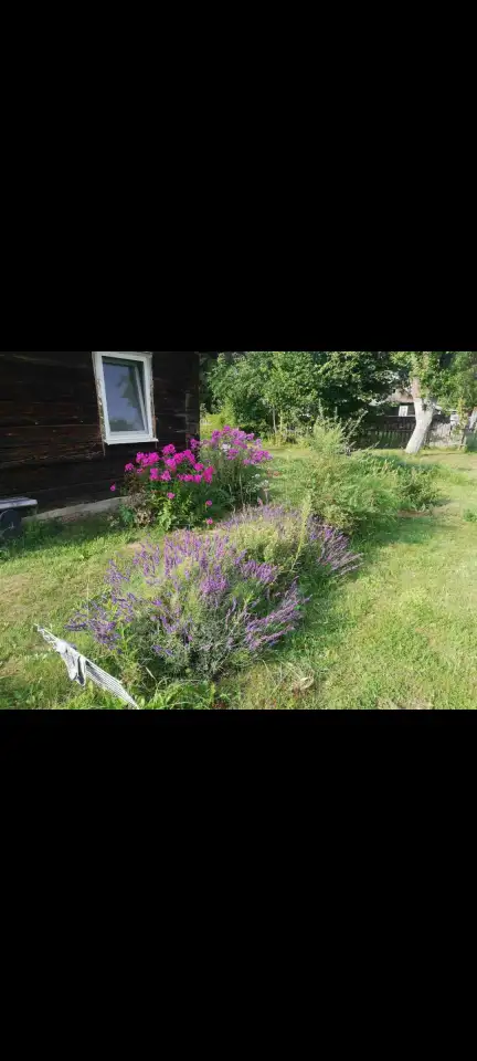 Продам дом в деревне Мотевичи лидского района, фотография 2