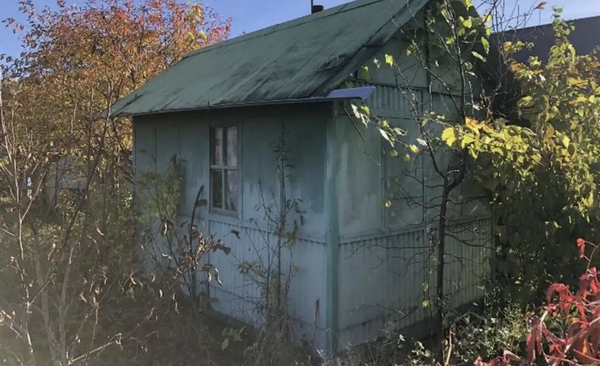 Продам дачный участок в 7 км от Ольшанки Гродно, фотография 11