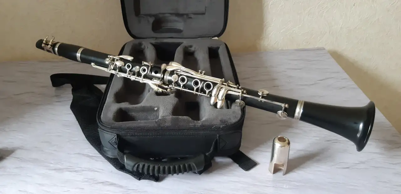 Кларнет Buffet Crampon Prodige, фотография 2