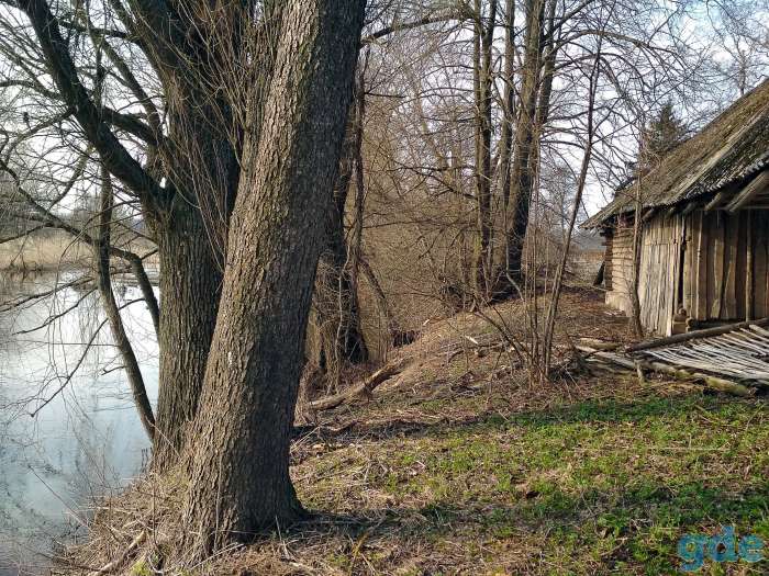 Дом у реки, д.Русаки Поставского района, курапольский с/с, фотография 2
